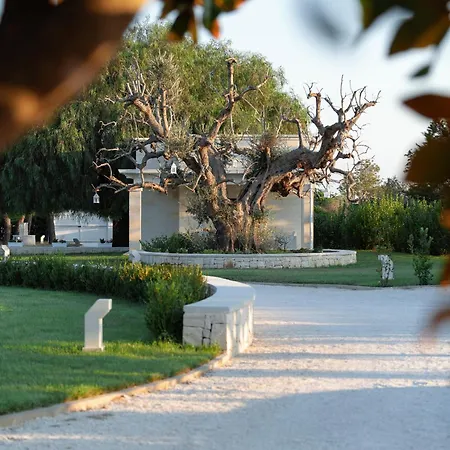 Experience In Apulia, Dimora Zammarrico Holiday home Francavilla Fontana