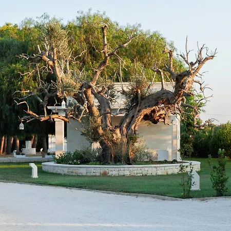 Experience In Apulia, Dimora Zammarrico * Francavilla Fontana