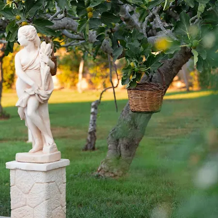 Experience In Apulia, Dimora Zammarrico Holiday home